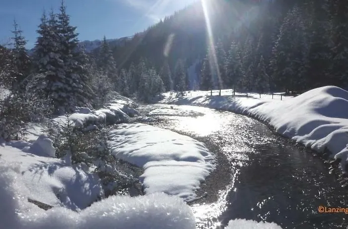 Guest house Gaestehaus Lanzinger